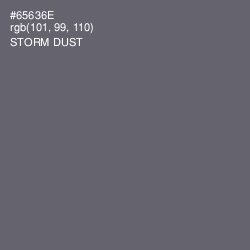 #65636E - Storm Dust Color Image